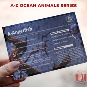 Alphabet Letters - Ocean Animals Postcards